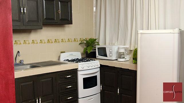 Cortizo Suites San Miguel de Allende Dış mekan fotoğraf